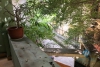 8 bedrooms house for rent in Ba Dinh district, Hanoi.